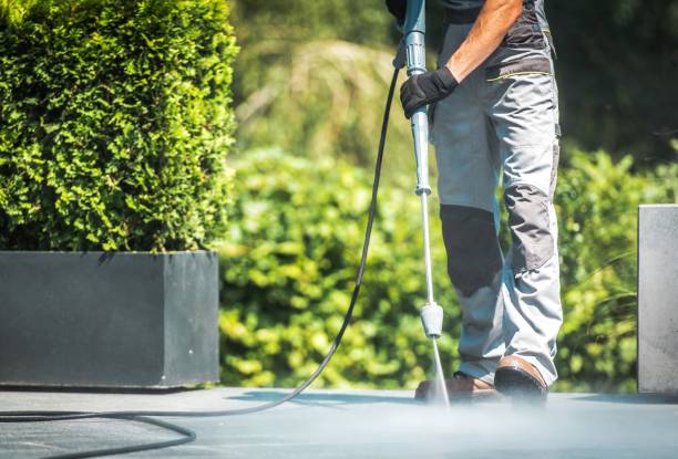 Best Gutter Cleaning  in Muncy, PA